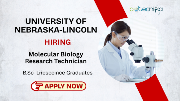 Join UNL as a Molecular Biology Research Technician (Temporary)