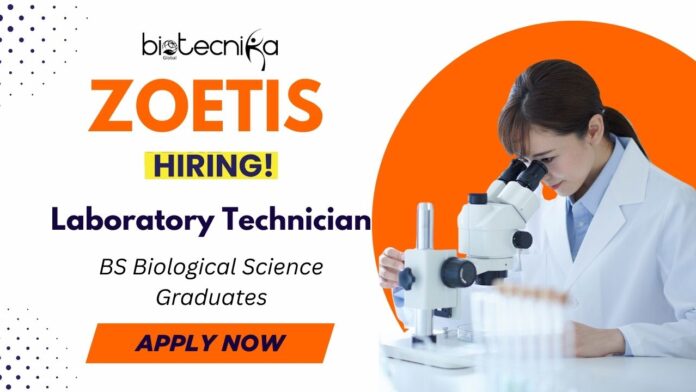 Laboratory Technician Job at Zoetis | BS Graduates in Biological or Life Sciences Apply