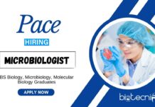 Latest Microbiology Jobs at Pace | BS Graduates Apply Online Latest Microbiology Jobs at Pace BS Graduates Apply Online