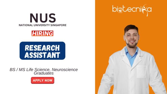 Life Science Jobs at NUS BSMS Graduates Apply Now for the Research Assistant Position