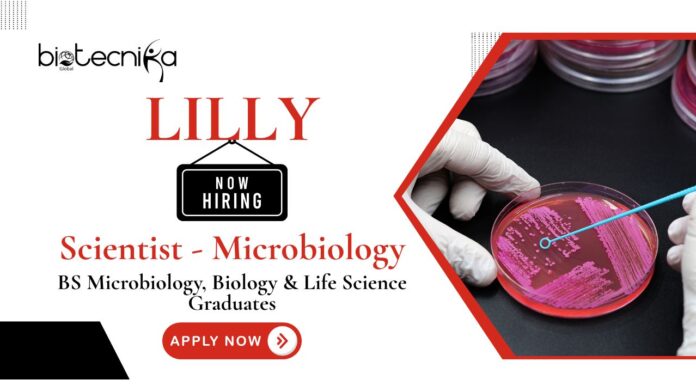 Microbiology Jobs at Eli Lilly | Apply Now at Eli Lilly For The Scientist Role