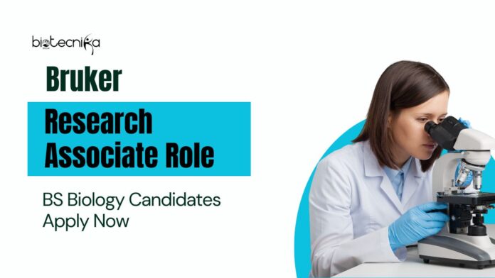 BS Biological Science Jobs at Bruker | Apply Now for Research Associate Role