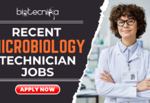 Microbiology Technician Jobs in Saint Louis – BS Life Science Graduates Apply At Randstad Recent Microbiology Technician Jobs in Saint Louis - BS Life Science Graduates Apply At Randstad