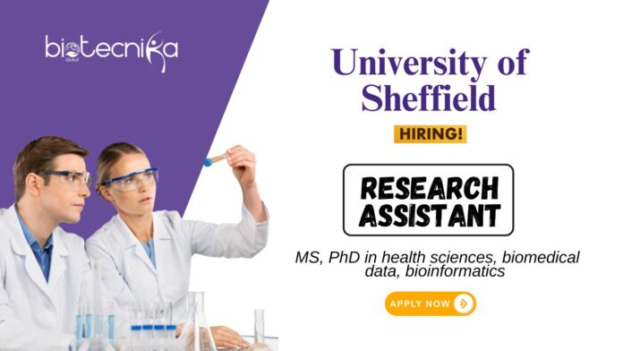 Research Assistant Jobs at the University of Sheffield MS Graduates Apply Now (1)