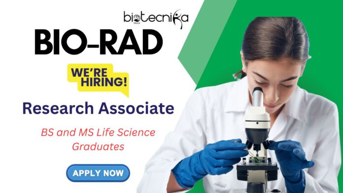 Research Associate Job Vacancy at Bio-Rad in US | BS and MS Life Science Graduates Apply