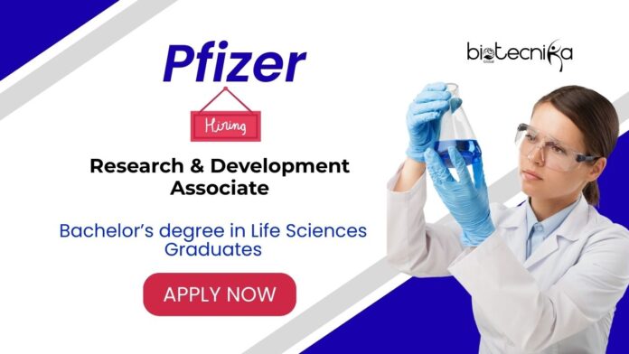 Research & Development Associate Role at Pfizer for BS Graduates | Apply Now
