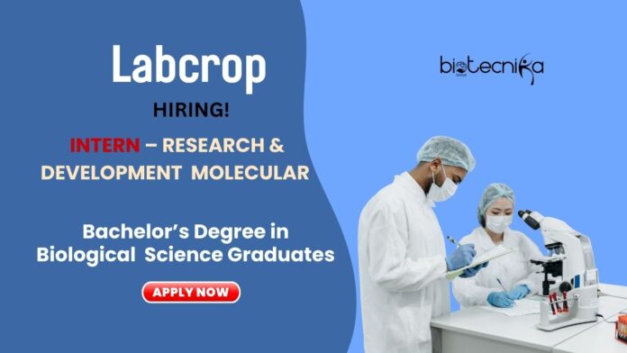 Research & Development Molecular Internship at Labcrop | BS Graduates Apply Now