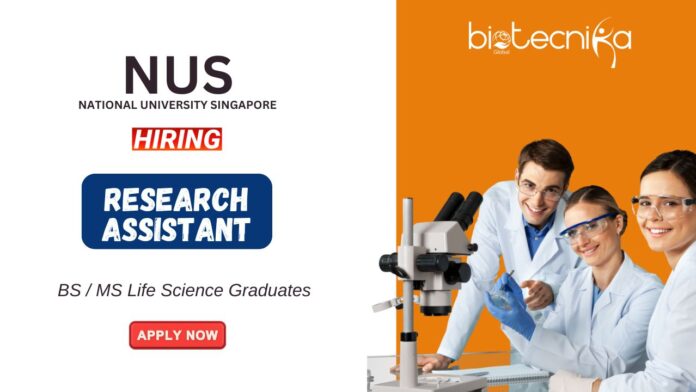 Research Jobs at NUS BSMS Life Science Graduates Apply Now