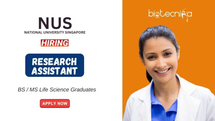 Research Jobs at NUS BSMS Life Science Graduates Apply Now