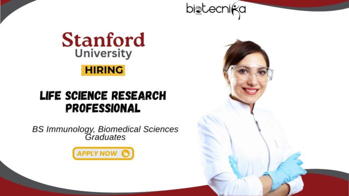 Research Jobs at Stanford University BS Biology Graduates Apply Now
