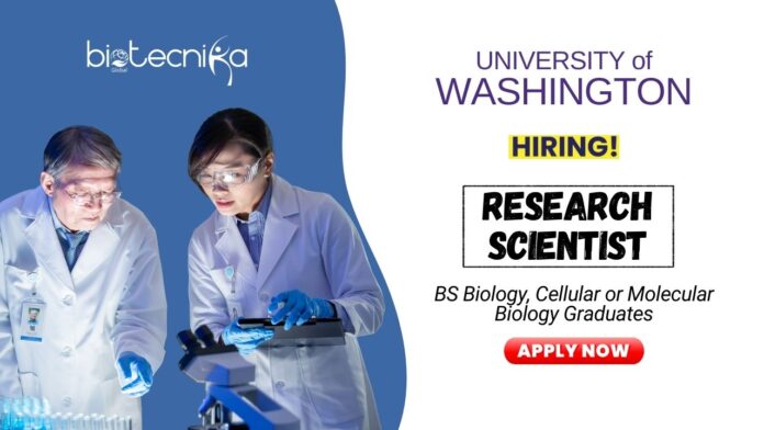Research Scientist Job at University of Washington BS Biology Graduates Apply Now