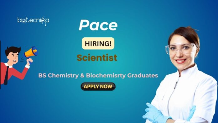 Scientist Job at Pace for BS Graduates | Apply Now