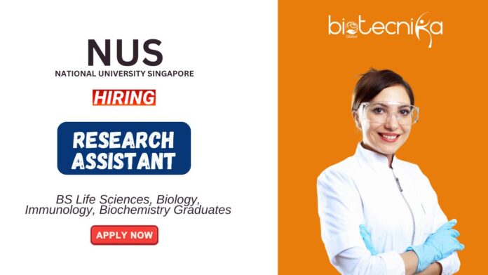 Biology Job at NUS Singapore BS Graduates Apply Now for the Research Assistant Position