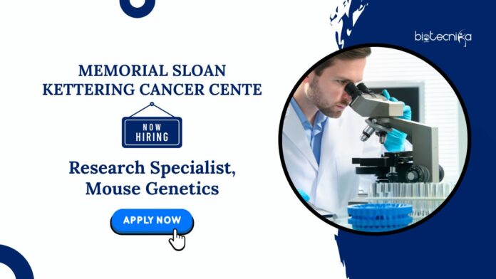 Biology Jobs at MSK | Apply Now for Cancer Research Positions
