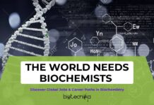 The World Needs Biochemists: Discover Global Jobs & Career Paths in Biochemistry Global Biochemistry Careers Jobs, Paths & Opportunities You Can Explore Worldwide