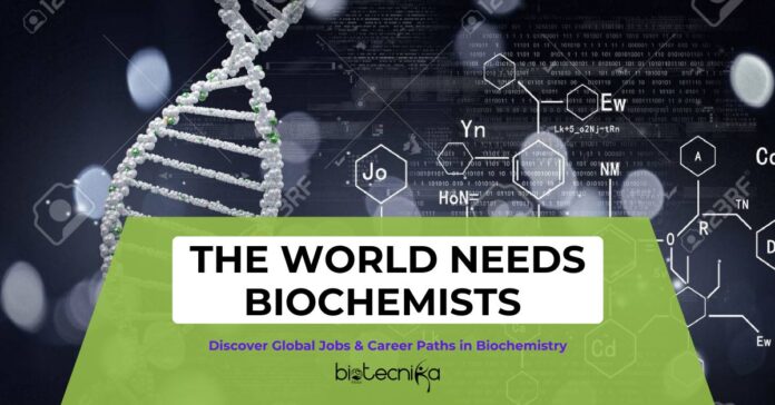 Global Biochemistry Careers Jobs, Paths & Opportunities You Can Explore Worldwide