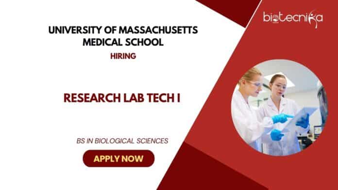Lab Technician Jobs at University of Massachusetts Medical School- Life Science Graduates Apply Now
