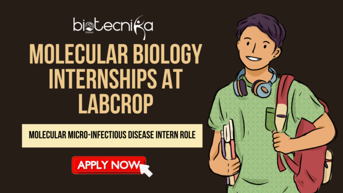 Molecular Biology Internships at Labcrop - Apply For the Molecular Micro-Infectious Disease Intern Role