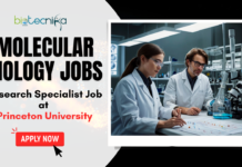 Join Princeton University’s Molecular Biology Research Team: Apply for the Research Specialist Role Today! Molecular Biology Jobs - Research Specialist Job at Princeton University - Apply Now
