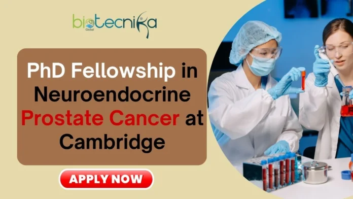 PhD Fellowship in Neuroendocrine Prostate Cancer at Cambridge