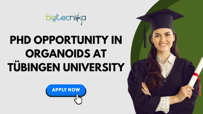 PhD Opportunity in Organoids & Organ-on-Chip at Tübingen