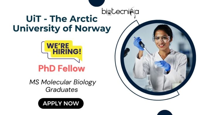 PhD Opportunity in Personalized Cancer Treatment at UiT Norway | MS Molecular Biology Graduates Apply Now