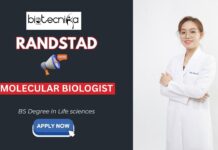 Randstad Careers: Apply Now for Molecular Biologist Job | Molecular Biology Job Randstad Careers Apply Now for Molecular Biologist Job Molecular Biology Job