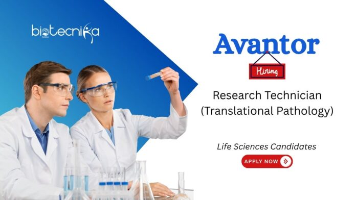 Research Technician Job Opportunity at Avantor. Translational Pathology, biomarker discovery. Life Sciences Grads, Apply Now. Avantor careers