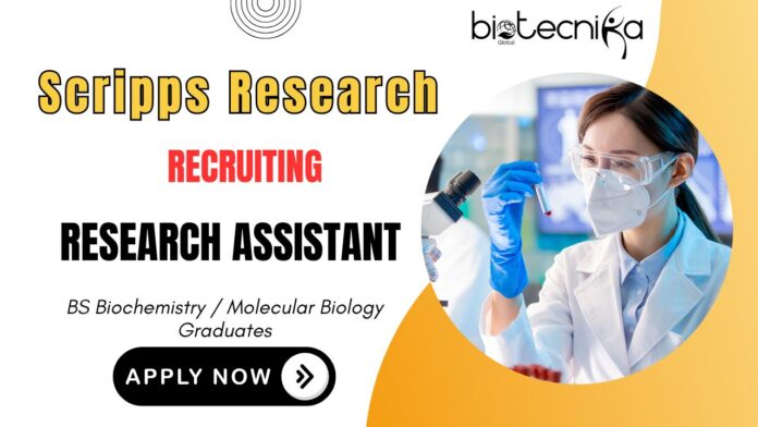 Research Assistant Job at Scripps Research - Drug Discovery and Protein Engineering Role