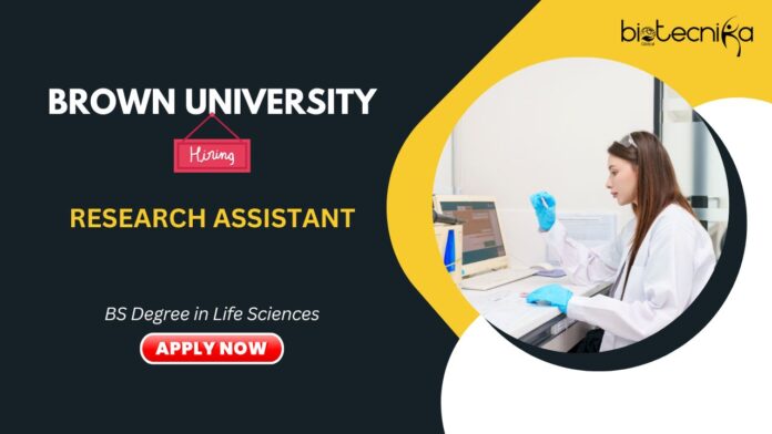 Research Assistant Jobs in US, Brown University- Apply Now Life science Jobs & Research Jobs