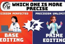 Base Editing vs Prime Editing: Which Gene Editing Technology Is More Precise? Base Editing vs Prime Editing Which Gene Editing Technology Is More Precise