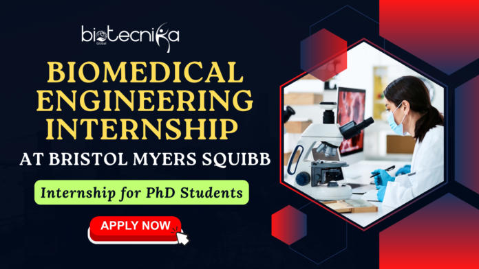 Biomedical Engineering Internship At Bristol Myers Squibb Internship for PhD Students