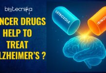 Can Cancer Drugs Help in Alzheimer’s Treatment? Can Cancer Drugs Letrozole and Irinotecan Help in Alzheimer’s Treatment