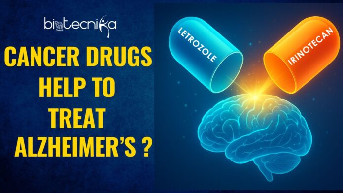 Can Cancer Drugs Letrozole and Irinotecan Help in Alzheimer’s Treatment