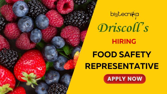 Driscoll Job Openings for Food Science Jobs Apply for the Food Safety Representative Now!