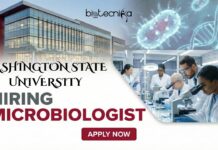 Exciting Microbiologist Role at Washington State University | Apply for the Microbiology Job Now! Exciting Microbiologist Role at Washington State University Apply for the Microbiology Job Now!