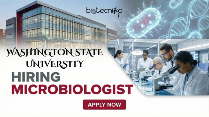 Exciting Microbiologist Role at Washington State University Apply for the Microbiology Job Now!
