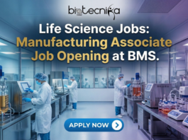 Latest Life Science Jobs: Manufacturing Associate Job Opening at BMS Latest Life Science Jobs. Manufacturing Associate Job Opening at BMS. Explore the Manufacturing Associate Cell Therapy role