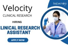 Latest Clinical Research Jobs | Apply for the Clinical Research Assistant Role at Velocity Careers Now! Latest Clinical Research Jobs Apply for the Clinical Research Assistant Role at Velocity Careers Now!
