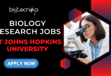 Build Your Future at Johns Hopkins: Apply Now For Core Facility Technologist II Role Jobs at Johns Hopkins University. Apply Now for Core Facility Technologist Role. Core Facility Technologist role at Johns Hopkins University