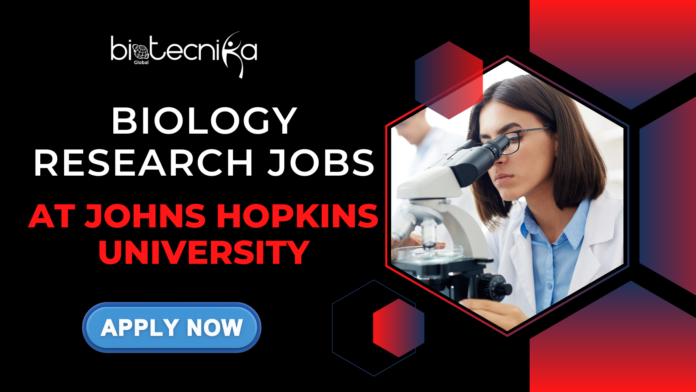 Latest Jobs at Johns Hopkins University. Explore the Research Technologist job at Johns Hopkins University. (1) Jobs at Johns Hopkins University. Apply Now for Core Facility Technologist Role. Core Facility Technologist role at Johns Hopkins University
