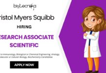 Latest Research Associate Jobs at BMS Careers | Apply Now for the Biological Science Job! Latest Research Associate Jobs at BMS Careers Apply Now for the Biological Science Job!