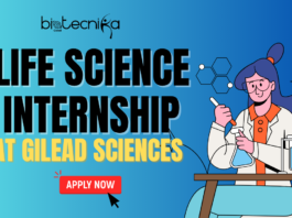 Life Science Internship at Gilead Sciences. Biologics & Manufacturing Role. Explore the Gilead Life Science Internship.
