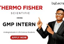 Life Science Internship at Thermo Fisher Careers | Apply for the exciting QA Role Now! Life Science Internship at Thermo Fisher Careers Apply for the exciting QA Role Now!