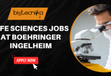 Microbiology Supervisor Role at Boehringer Ingelheim | Life Sciences Jobs in the UK Life Sciences Jobs at Boehringer Ingelheim. Microbiology Supervisor Job Openings in the UK. Latest Life Science Job Openings