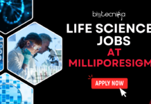 Life Sciences Jobs at MilliporeSigma | Research and Development Job Openings Life Sciences Jobs at MilliporeSigma. Research and Development Job Openings. Latest Life Science Jobs for BS Grads.