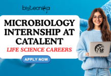 Microbiology Internship at Catalent | Life Science Careers in Wisconsin Microbiology Internship at Catalent. Life Science Careers in Wisconsin. Summer 2026 Microbiology Internship at Catalent.