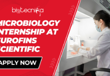 Microbiology Internship at Eurofins Scientific | Life Science Internships in USA Microbiology Internship at Eurofins Scientific. Life Science Internships in USA. Microbiology Internship at Eurofins Scientific in Lancaster.