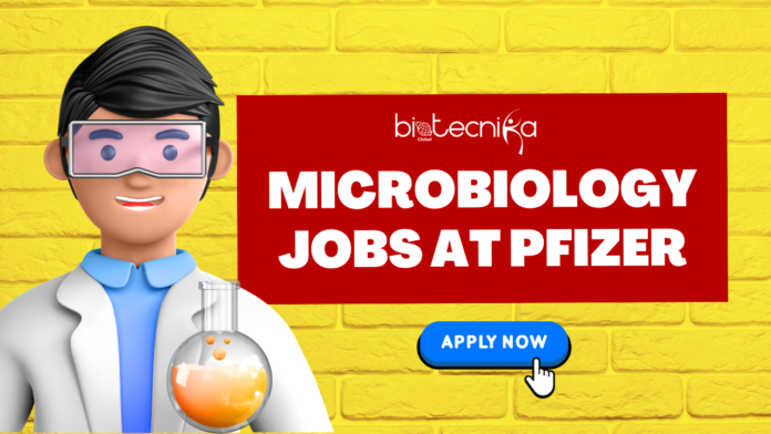 Microbiology Jobs At Pfizer. Explore the QC Analyst I, Microbiology role at Pfizer. Microbiology Career Opportunities in the US Microbiology Jobs At Pfizer. Explore the QC Analyst I, Microbiology role at Pfizer. Microbiology Career Opportunities in the US