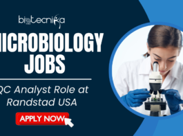 Microbiology Jobs: QC Analyst Role at Randstad USA. Explore this QC Microbiology Analyst role and kickstart your career in microbiology jobs